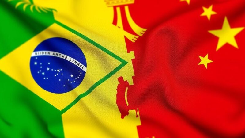 Xi Jinping and Lula da Silva Strengthen China-Brazil Strategic Partnership