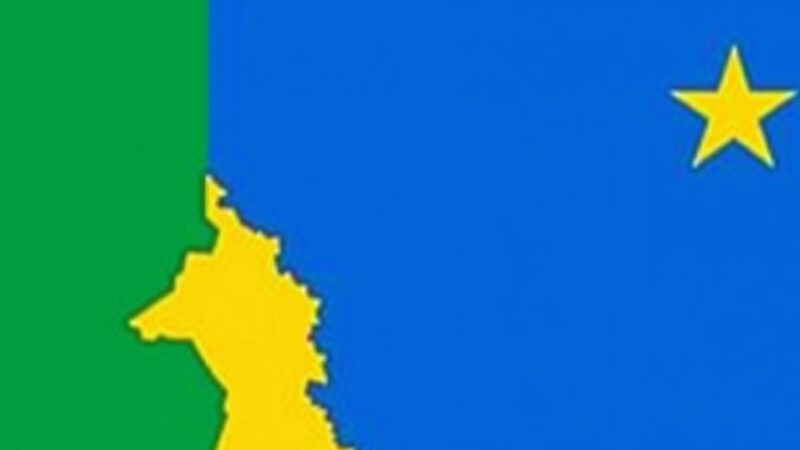 Gabon Votes on New Constitution: A Potential Shift in Governance