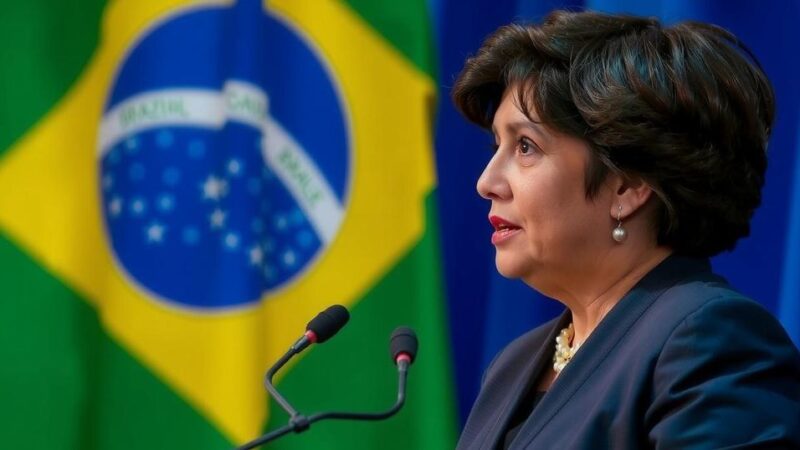 Brazil Criticizes Argentina’s Withdrawal from COP29 as Detrimental to Climate Efforts