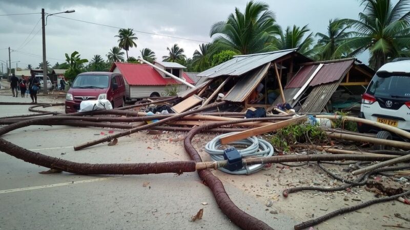 Cyclone Chido Ravages Mozambique and Malawi, Death Toll Rising