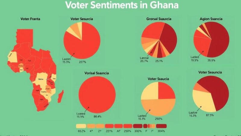 Ghana’s Election: Key Voter Concerns in an Economic Crisis