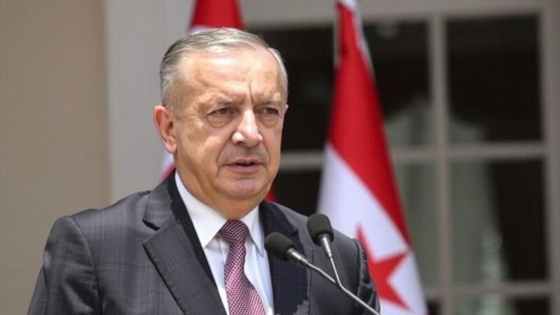 Erdogan’s Visit to Cairo: Focus on Syrian Stability and Reconstruction