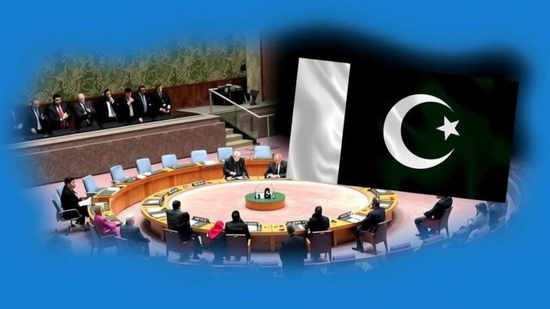 Pakistan’s UNSC Membership: Risks and Opportunities for Global Security