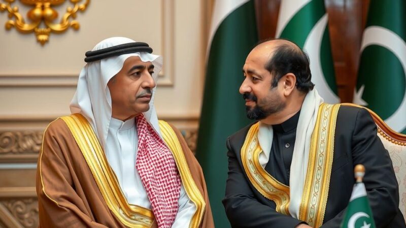 UAE President Sheikh Mohamed Engages in Strategic Talks with Pakistan’s Prime Minister