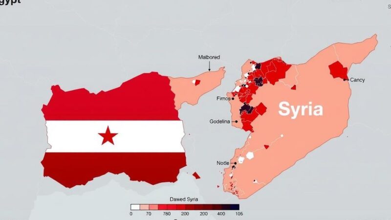 As Assad Falls: Mixed Reactions in Egypt and Implications for Political Stability